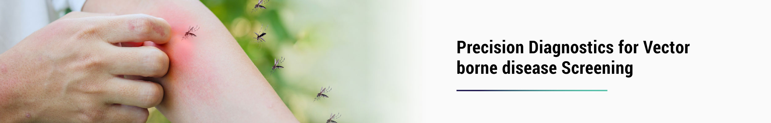 vector borne disease