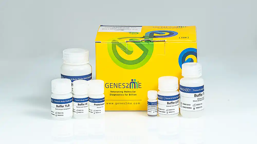 Blood DNA Extraction Kits