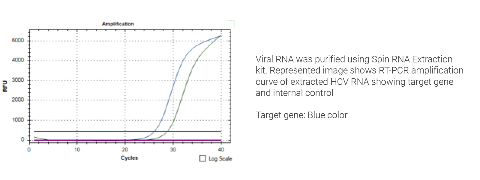 Viral RNA Extraction