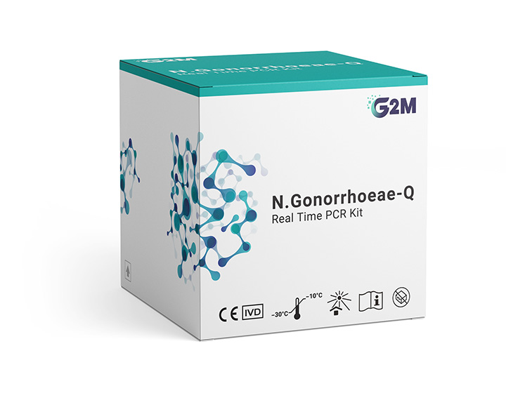 Gonorrhoeae-Q
