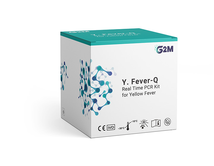 Y. Fever-Q
