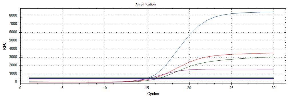 HHV-Q_Amplification