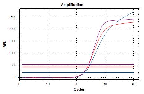 HSV-Amplification
