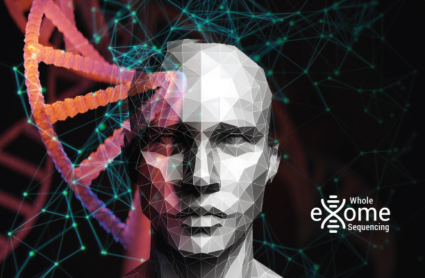 Human Papillomavirus