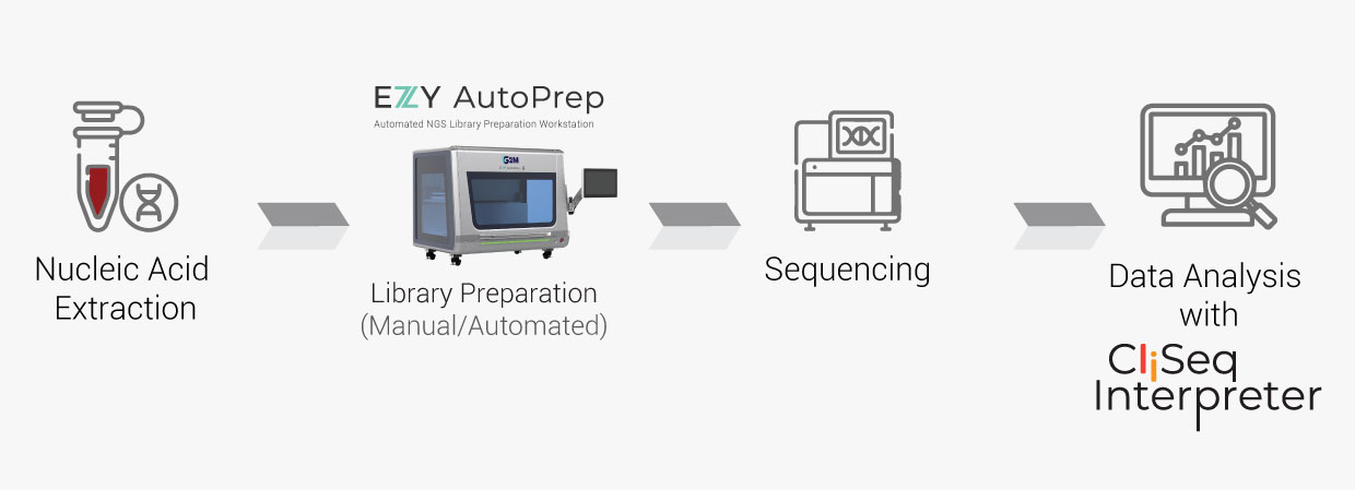 Neuromuscular workflow