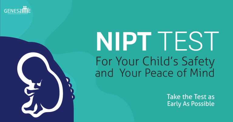 Non Invasive Prenatal Testing Niptnips Test During Pregnancy In India